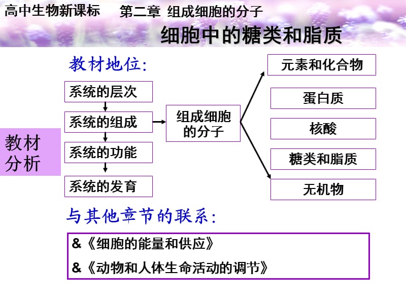 gqc细胞中的糖类和脂质说.ppt_第2页