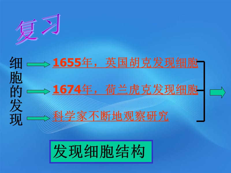 生物上册 细胞的结构课件 人教新课标.ppt_第2页