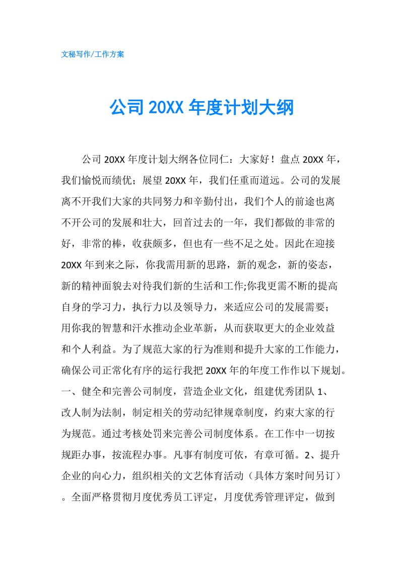 公司20XX年度计划大纲.doc_第1页