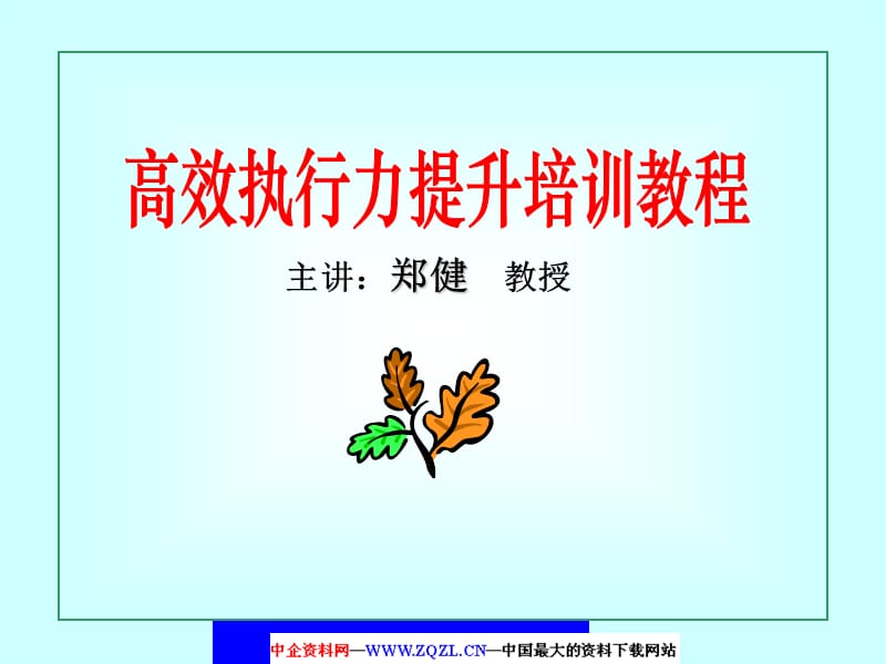 高效执行力提升培训教程.ppt_第1页