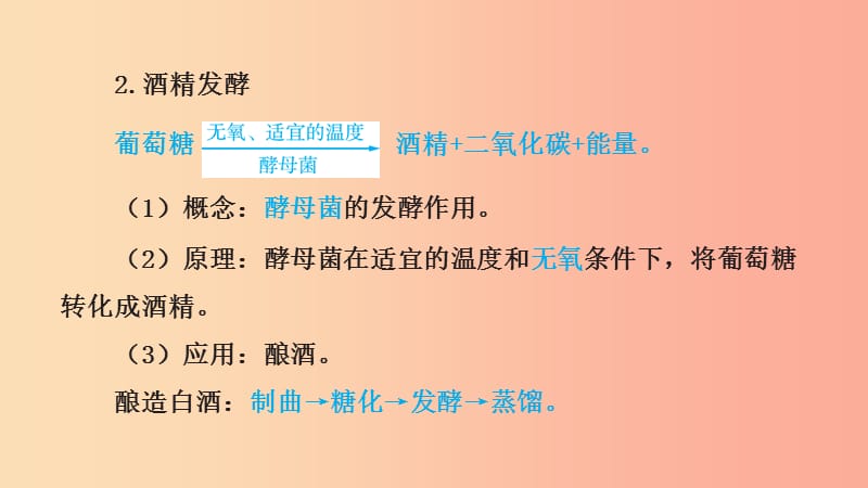 山东省2019年中考生物 主题复习十八 生物技术课件 济南版.ppt_第3页