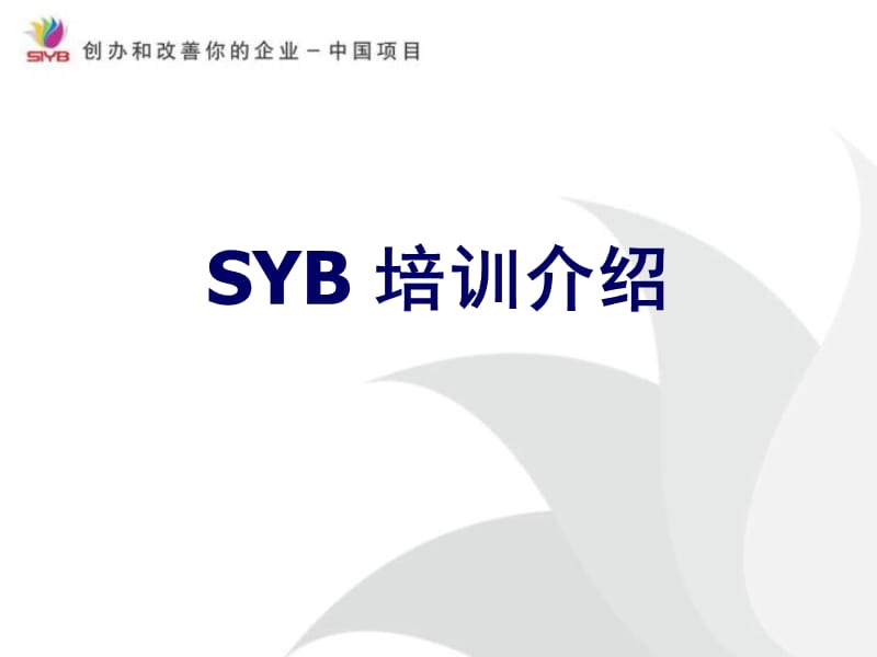 《SYB项目介绍》PPT课件.ppt_第1页