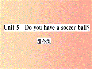 （武漢專版）2019秋七年級(jí)英語上冊(cè) Unit 5 Do you have a soccer ball組合練新人教 新目標(biāo)版.ppt