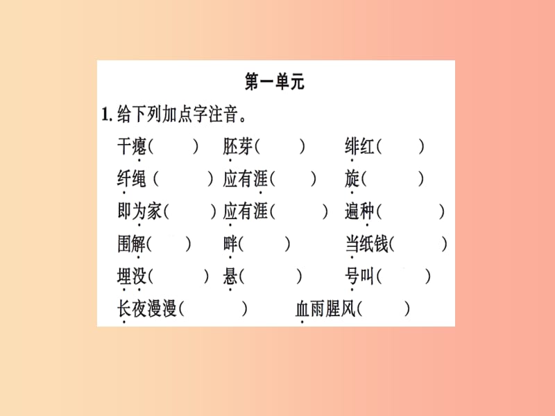 2019九年级语文下册 期末专题复习一 拼音与汉字习题课件 新人教版.ppt_第2页