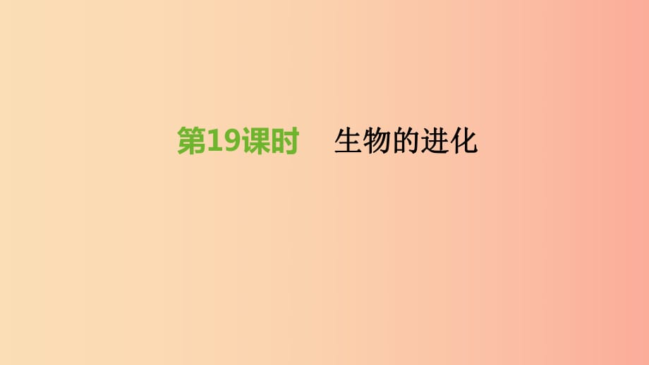 江蘇省徐州市2019年中考生物復(fù)習(xí) 第六單元 生命的延續(xù)與進(jìn)化 第19課時(shí) 生物的進(jìn)化課件.ppt_第1頁