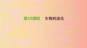 江蘇省徐州市2019年中考生物復(fù)習(xí) 第六單元 生命的延續(xù)與進(jìn)化 第19課時(shí) 生物的進(jìn)化課件.ppt