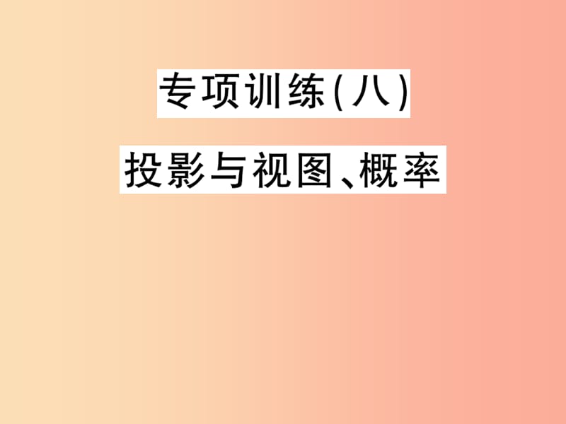 九年级数学下册专项训练八投影与视图概率习题课件新版湘教版.ppt_第1页