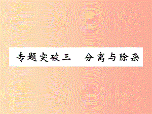 （百色專版）2019屆中考化學(xué)復(fù)習(xí) 第2編 重點(diǎn)專題突破篇 專題突破3 分離與除雜（精練）課件.ppt