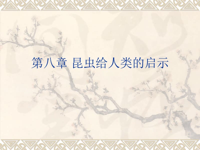 《昆虫给人类的启》PPT课件.ppt_第1页