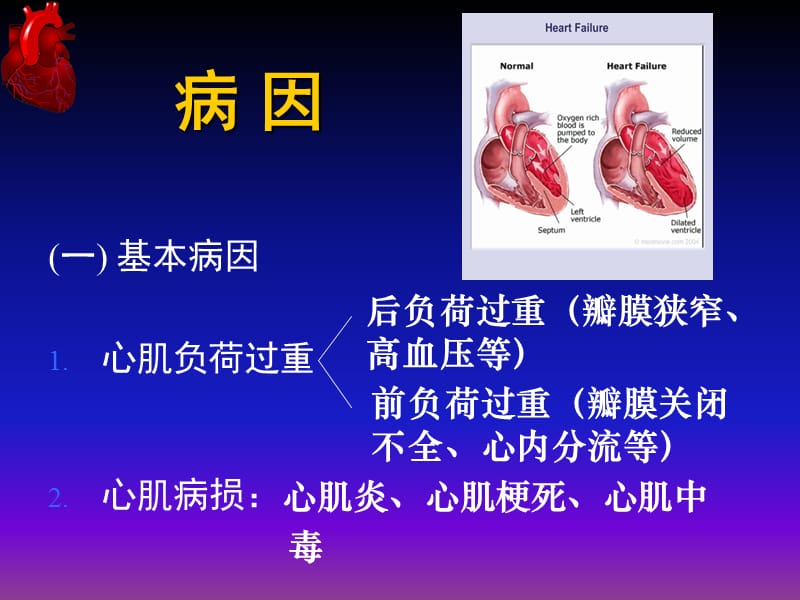 《抗心力衰竭药》PPT课件.ppt_第3页