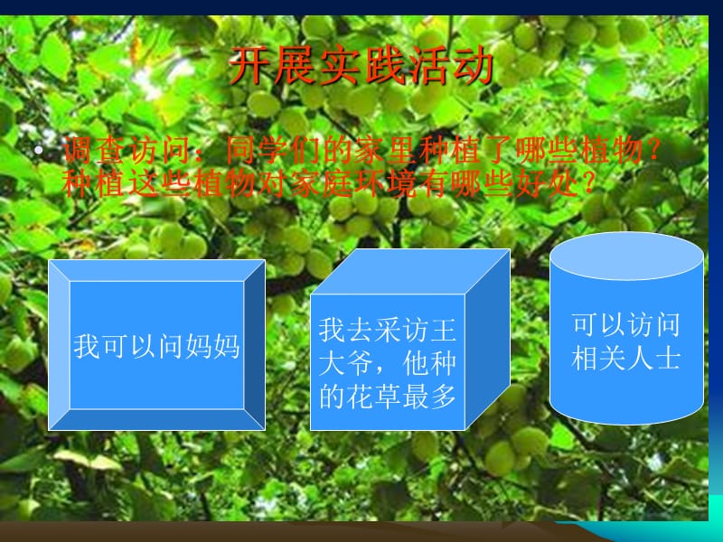 《我为我家做绿化》PPT课件.ppt_第2页