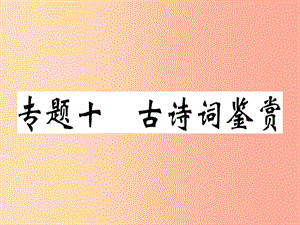 （貴州專版）2019春七年級語文下冊 專題十 古詩詞鑒賞習(xí)題課件 新人教版.ppt