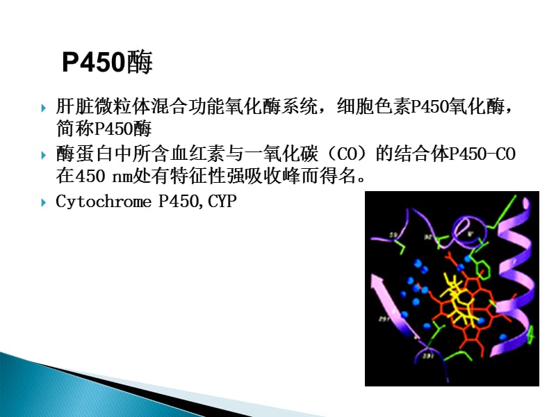 CYP450酶与药物相互作用.ppt_第2页