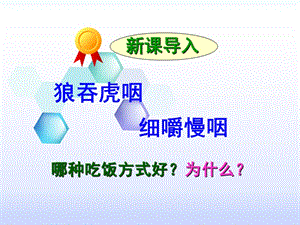 吉林省雙遼市七年級生物下冊 第四單元 第二章 第二節(jié) 消化與吸收課件 新人教版.ppt