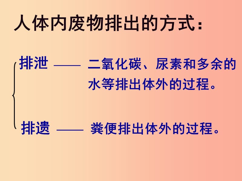 七年级生物下册 4.5人体内废物的排出课件2 新人教版.ppt_第2页