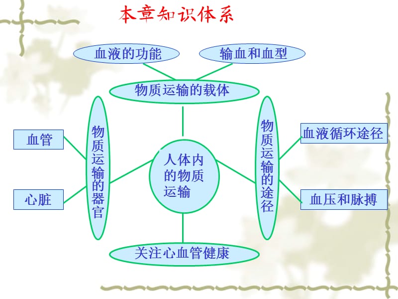 生物：人体内的物质运输复习课件济南版七年级下.ppt_第3页