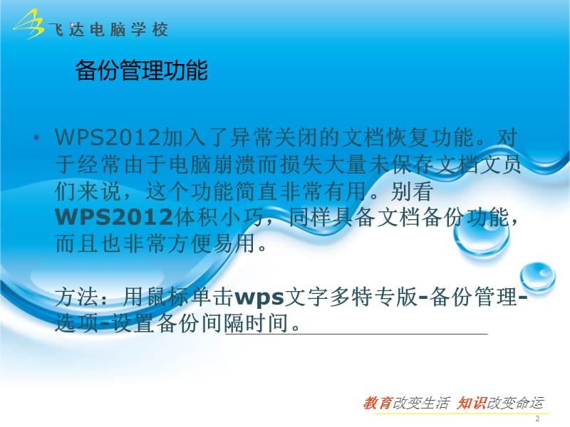 Wps2012文档的使用.ppt_第2页