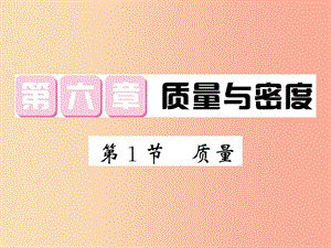 2019秋八年級物理上冊 第6章 1 質(zhì)量習(xí)題課件（新版）教科版.ppt