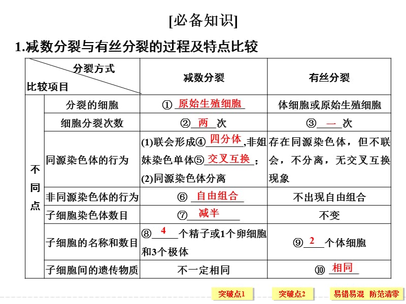 有丝分裂与减数分裂比较ppt课件_第2页