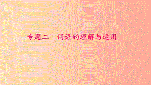 九年級語文下冊 期末專題復習二 詞語的理解與運用習題課件 新人教版.ppt