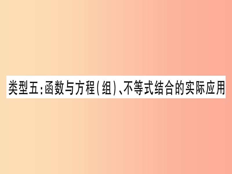 中考数学总复习第2轮中档题突破专项突破3实际应用与方案设计类型5函数与方程组不等式结合的实际应用习题.ppt_第1页