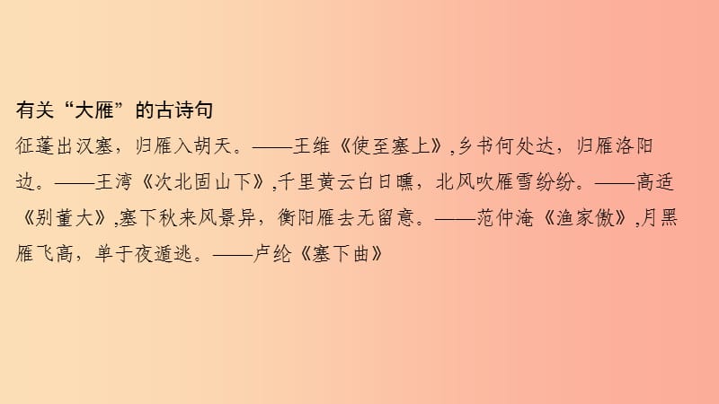 八年级语文下册 第二单元 7大雁归来习题课件 新人教版.ppt_第3页