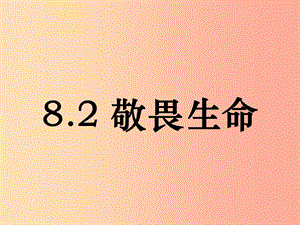 七年級(jí)道德與法治上冊(cè) 第四單元 生命的思考 第八課 探問(wèn)生命 第2框《敬畏生命》課件 新人教版.ppt