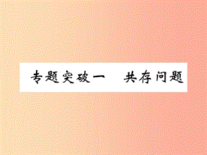 （百色專版）2019屆中考化學(xué)畢業(yè)總復(fù)習(xí) 第2編 重點(diǎn)專題突破篇 專題突破1 共存問題課件.ppt