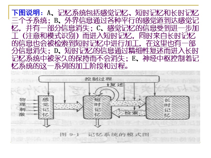 (胡)第六章：记忆与信息加工.ppt_第2页