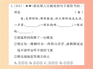 （襄陽專版）2019年七年級語文上冊 專題四習題課件 新人教版.ppt