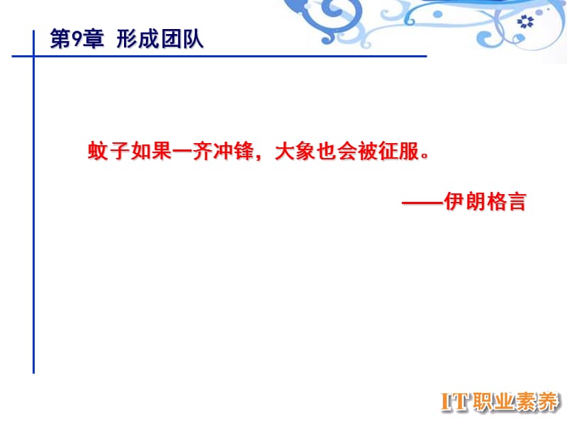 it职业素养第九章.ppt_第3页