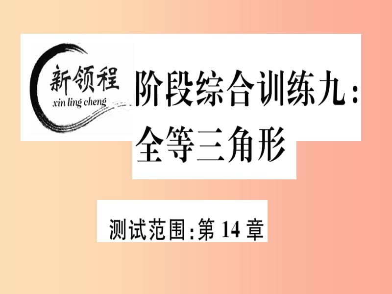 八年级数学上册 阶段综合训练九 全等三角形习题讲评课件 （新版）沪科版.ppt_第1页