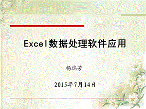 Excel数据处理软件应用.ppt