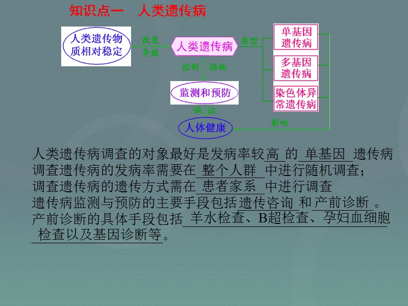 2016届高考生物一轮复习人类遗传病与生物育种.ppt_第3页