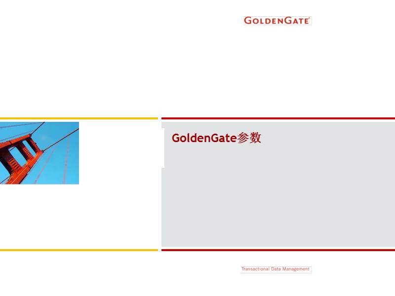 GoldenGate常用参数.ppt_第1页