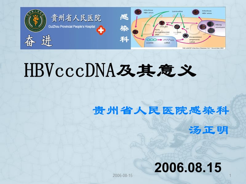 HBVcccDNA及其意义.ppt_第1页