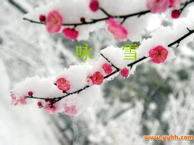 七年级语文上册咏雪课.ppt_第1页