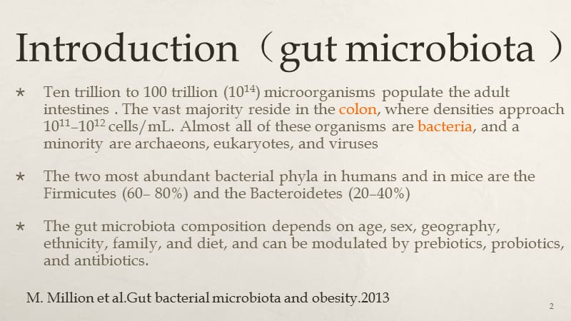 益生菌与肥胖ppt课件_第2页