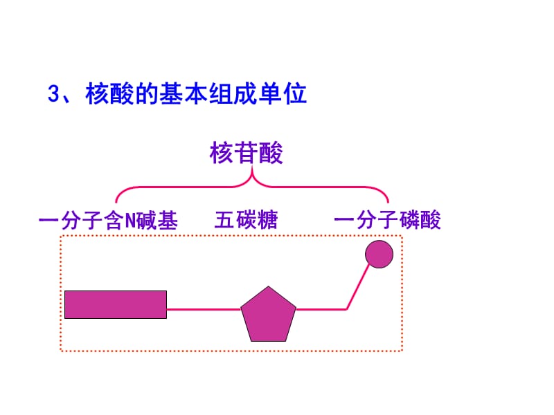 高三第一轮复习化合物.ppt_第2页