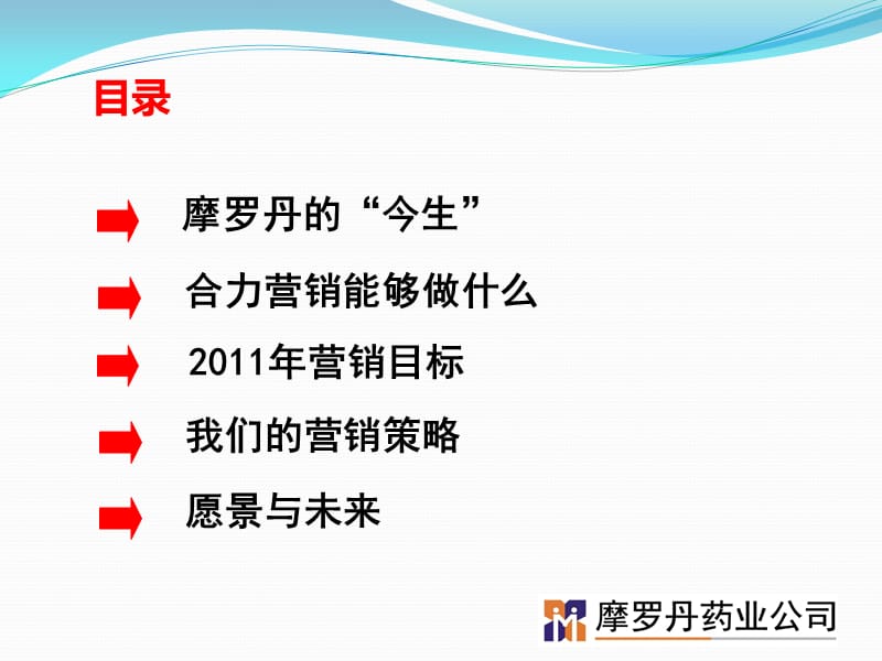 2011年营销目标与合力营销.ppt_第2页