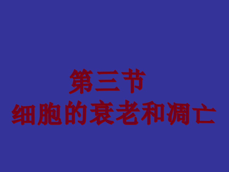 细胞分化、衰老和凋亡.ppt_第1页