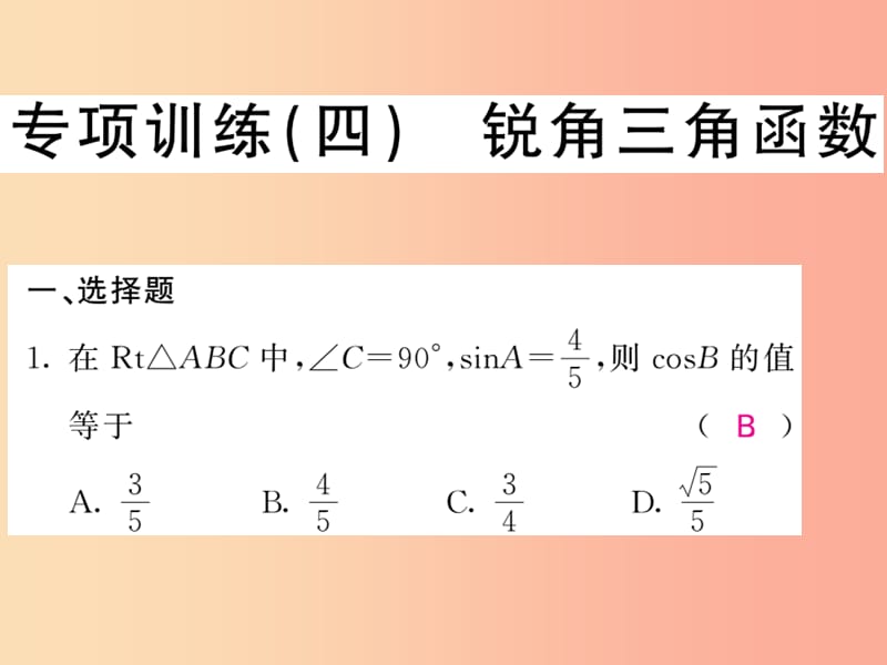 九年级数学下册专项训练四锐角三角函数习题课件新版湘教版.ppt_第1页