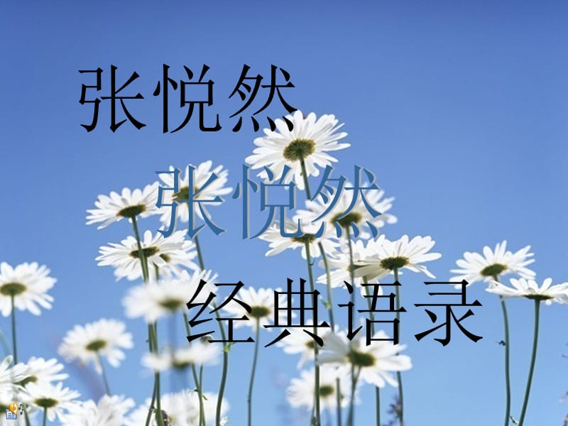 个人编辑张悦然经典语录.ppt_第1页