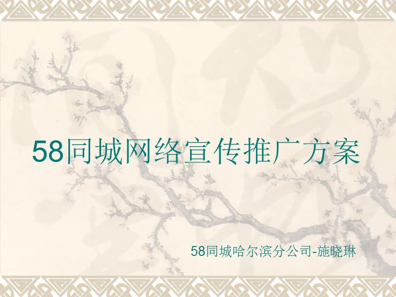 《同城网推广方案》PPT课件.ppt_第1页