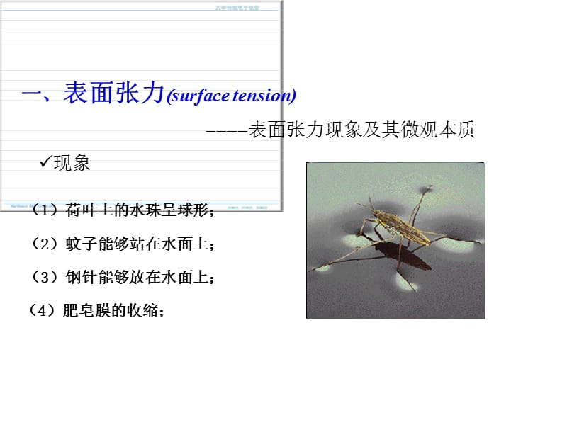 《液体表面的性质》PPT课件.ppt_第2页