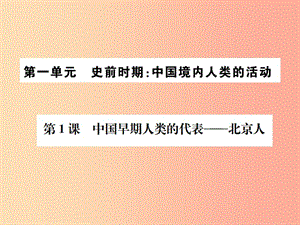 2019年秋七年級(jí)歷史上冊(cè) 第1課 中國早期人類的代表—北京人習(xí)題課件 新人教版.ppt