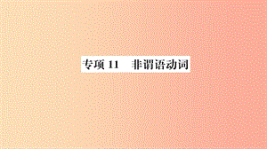 山東省2019年中考英語 第二部分 專項語法 高效突破 專項11 非謂語動詞課件.ppt