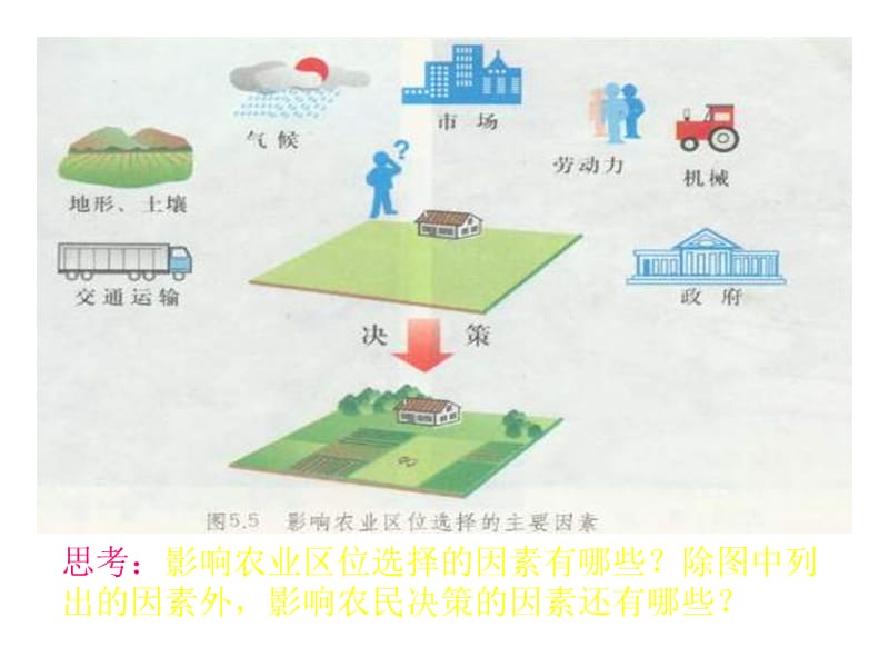 高一地理农业的区位选择.ppt_第3页