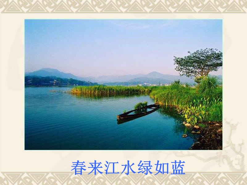 生物《水中的藻类植物》课件苏科版七年级下.ppt_第1页