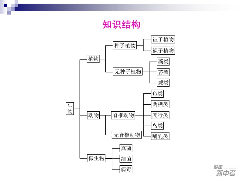 2012年中考复习生物第2课各种各样的生物.ppt_第3页